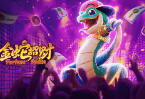 大小单双导师带赚包赔电脑免费版