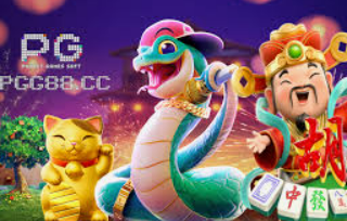 大小单双导师带赚包赔免费版