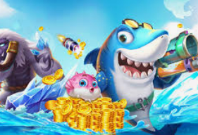 大小单双导师带赚包赔最新版