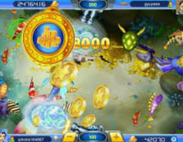 大小单双导师带赚包赔最新版