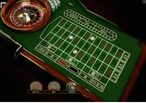 大小单双导师带赚包赔2024最新版